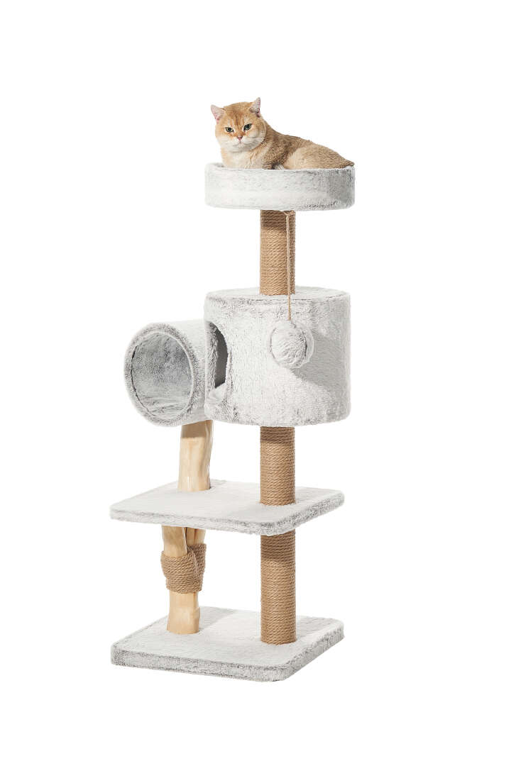 Nobby Kratzbaum Runa